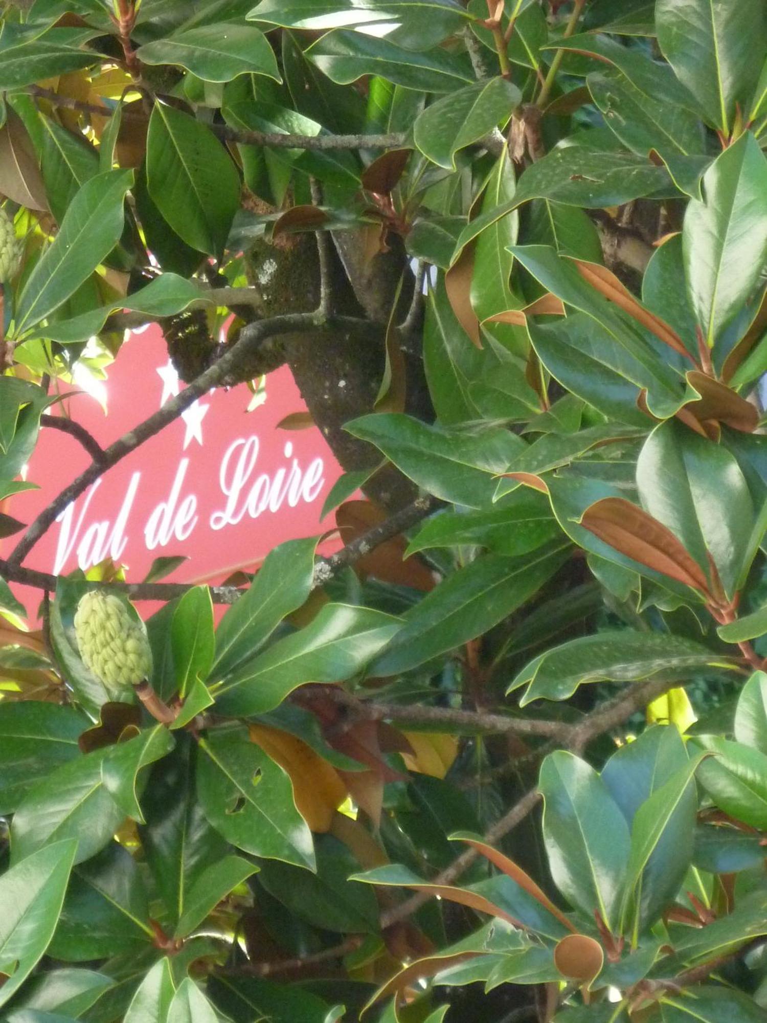 Hotel Val De Loire アゼ・ル・リドー エクステリア 写真